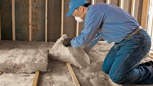 Best Wall Insulation Installation  in USA